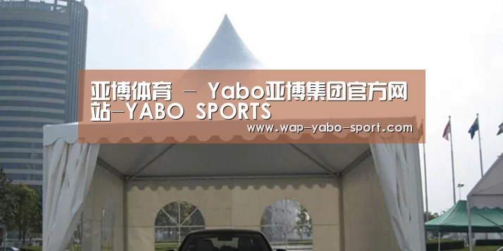 案例标题八